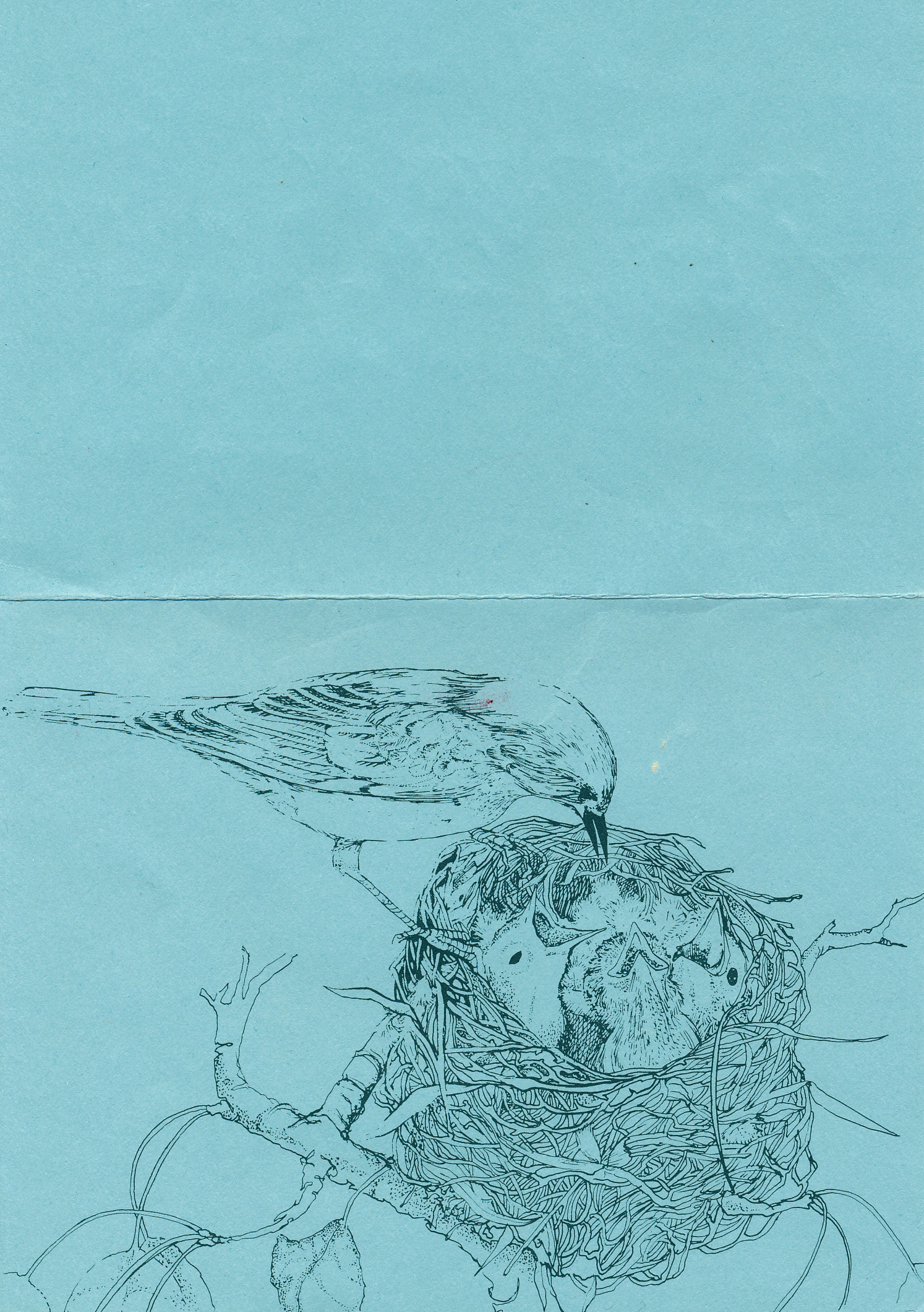 http://jrandomimage.com/images/bird-drawing.jpg